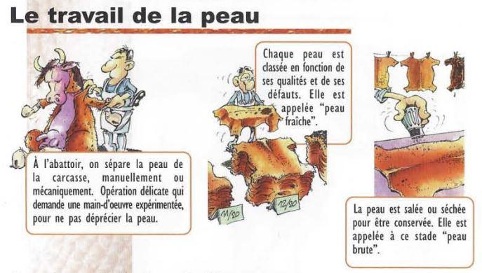 Le travail de la peau