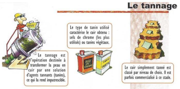 Le tannage