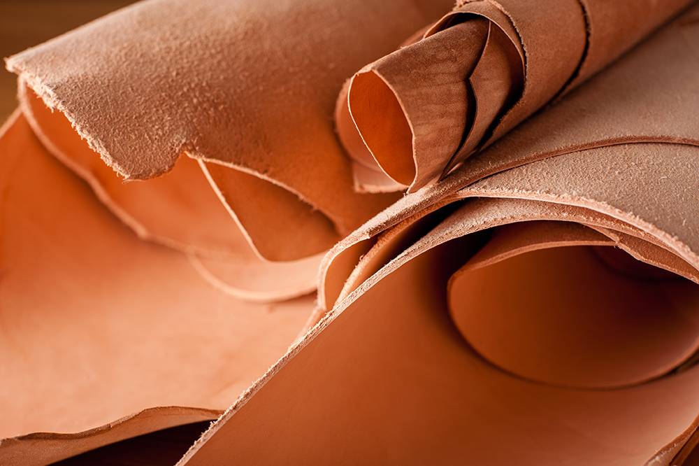 Cuir végétal à Pompaire