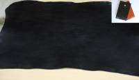CTV Foul + nuancier 18-20