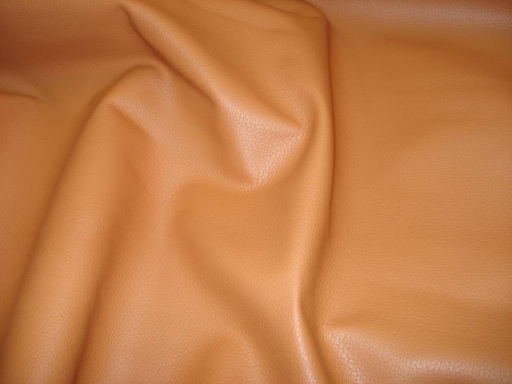 DSC06344