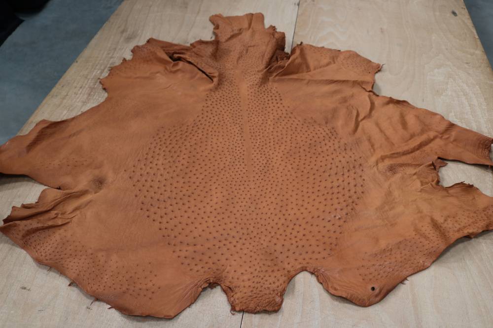 Peau d'autruche véritable Cognac - réf. AUTRUCHECOGNAC