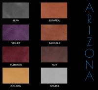 Nuancier veau Arizona p2