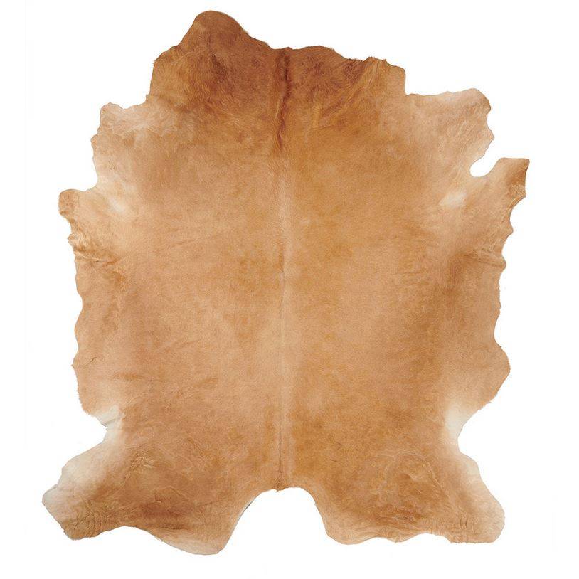 Vachette Naturelle Blonde d'Aquitaine - réf. VTTEPOILSBLONDE