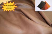 Tauillon Equisofty offre spé