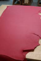 Taurillon Charlotte Rouge p2