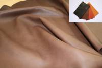 Tauillon Equisofty 2.0 + nuancier