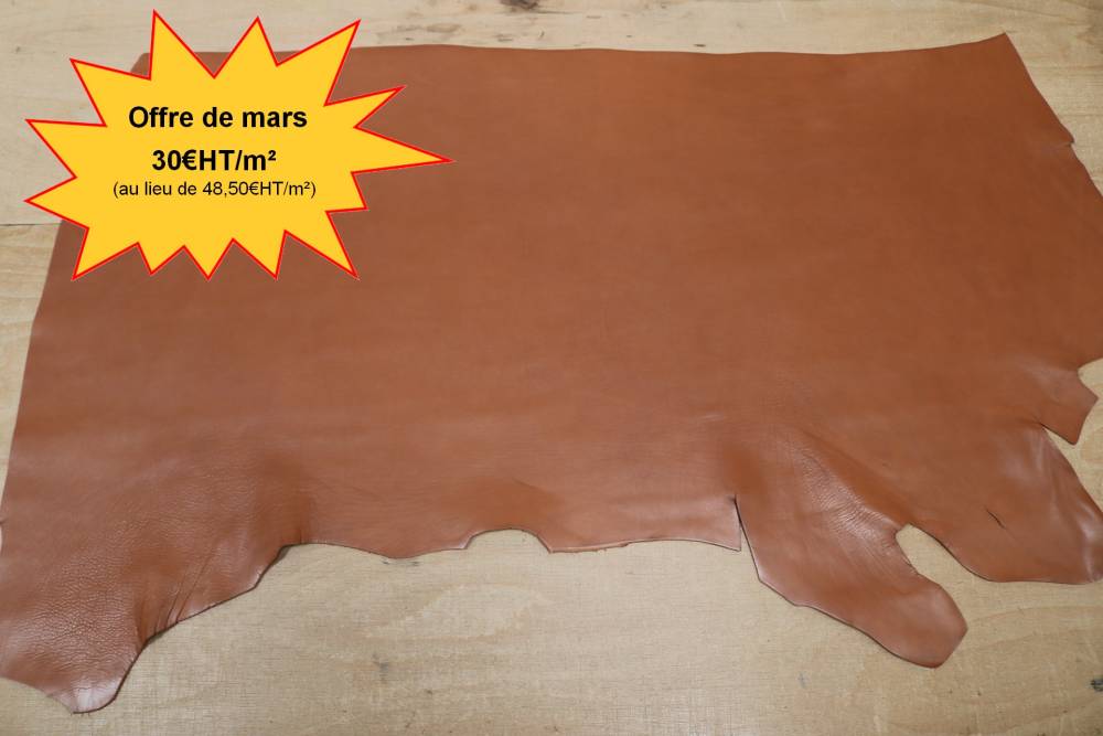 Taurillon Picasso + offre spé