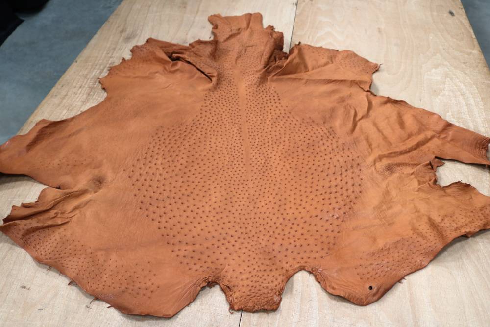 Peau d'autruche véritable Cognac - réf. AUTRUCHECOGNAC