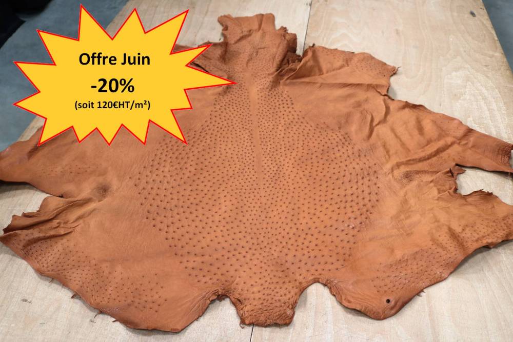 Autruche Cognac + offre spé